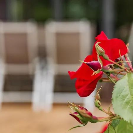 Am Rethwarder 公寓